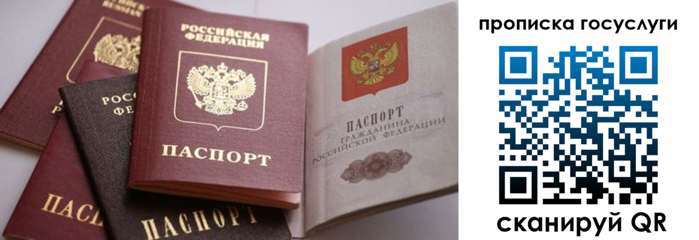 прописка иностранных граждан в Северной Осетии
